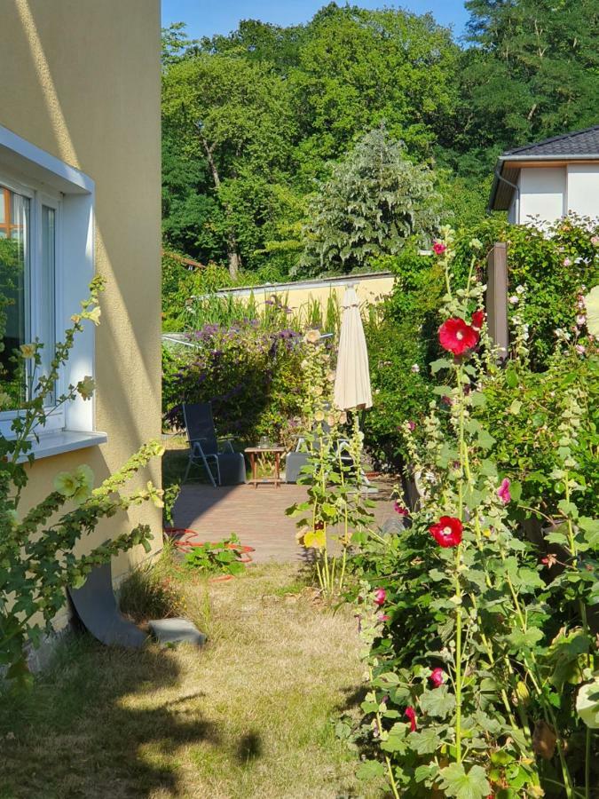 Ferienwohnung Paul Zinnowitz Ngoại thất bức ảnh